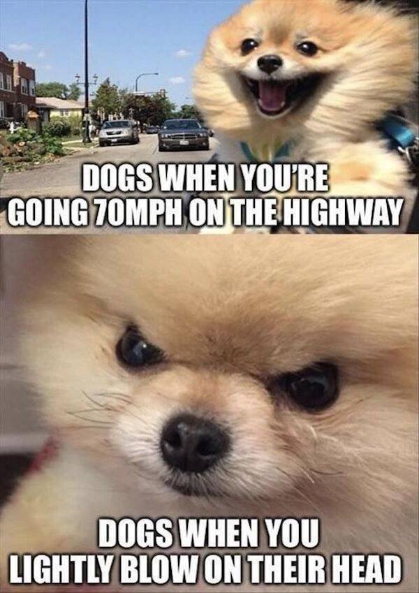 So True (48 pics)