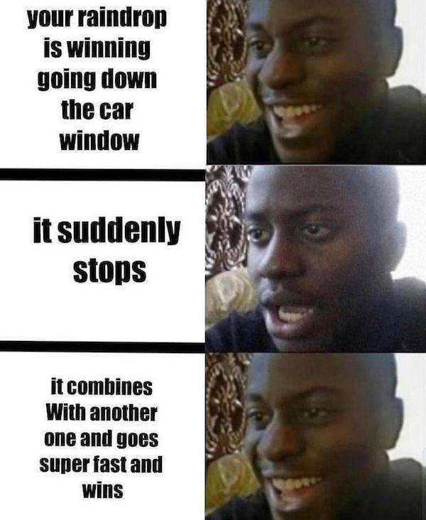 Wholesome Memes (25 pics)