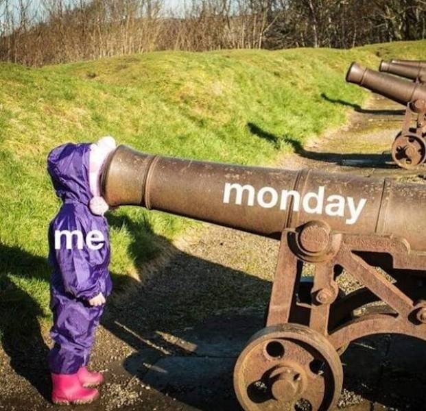 So True (48 pics)