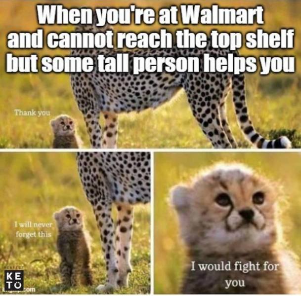 Wholesome Memes (25 pics)