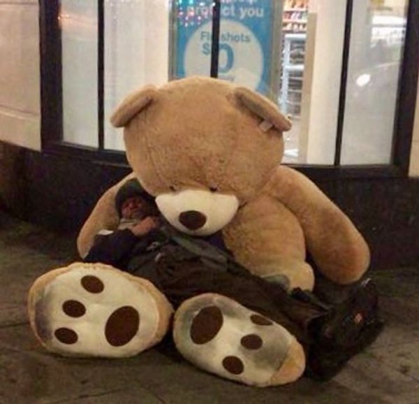 Wholesome Stories (20 pics) Wholesome Stories (20 pics)
