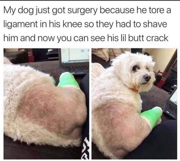 Random Funny Memes (31 pics)