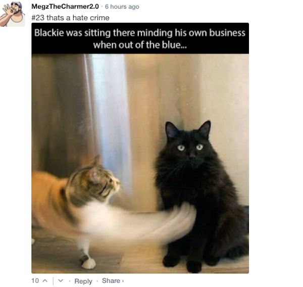 Funny Comments (52 pics)