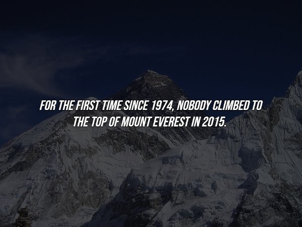 Interesting Facts (17 pics)