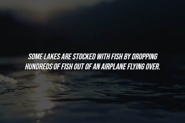 Interesting Facts (17 pics)