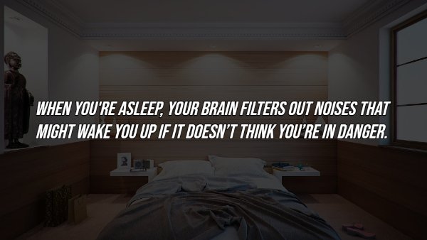 Interesting Facts (17 pics)