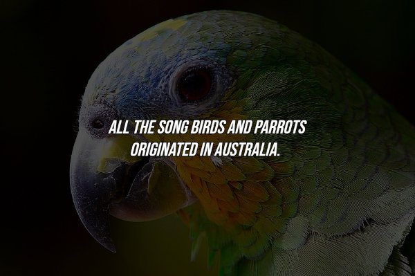 Interesting Facts (17 pics)