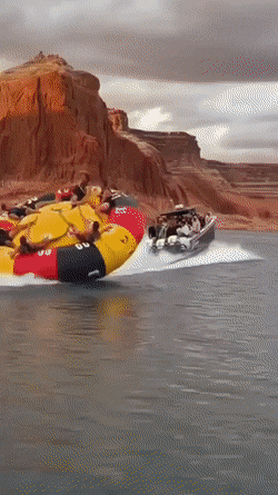 Acid Gifdump, November 8 (25 gifs)