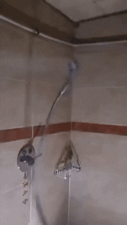 Acid Gifdump, November 8 (25 gifs)