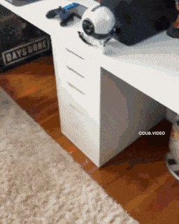 Acid Gifdump, November 8 (25 gifs)