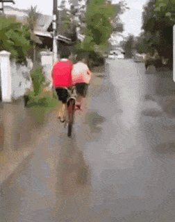 Acid Gifdump, November 8 (25 gifs)