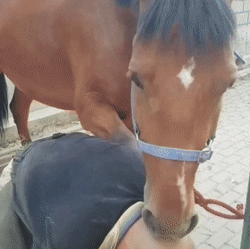 Acid Gifdump, November 8 (25 gifs)