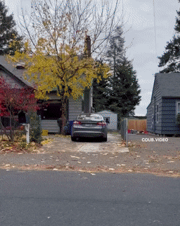 Acid Gifdump, November 8 (25 gifs)