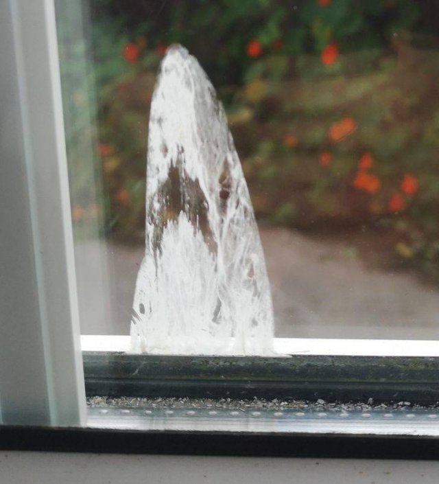 Look Twice (51 pics)