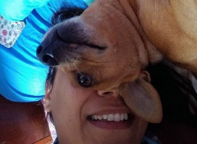 Look Twice (51 pics)