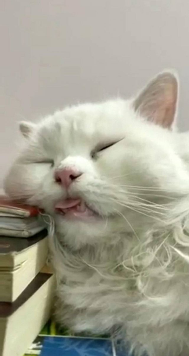 Acid Picdump 2 (48 pics)