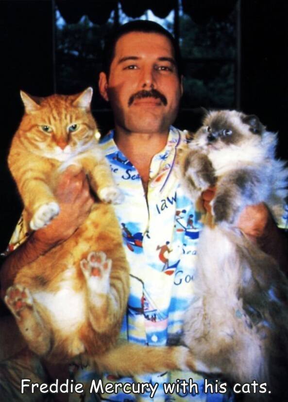 Acid Picdump 1 (49 pics)