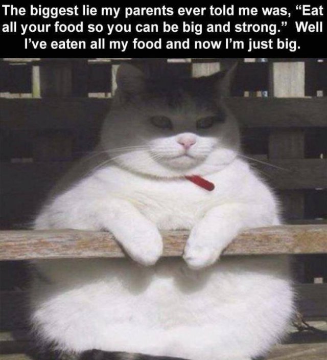 Acid Picdump 1 (49 pics)