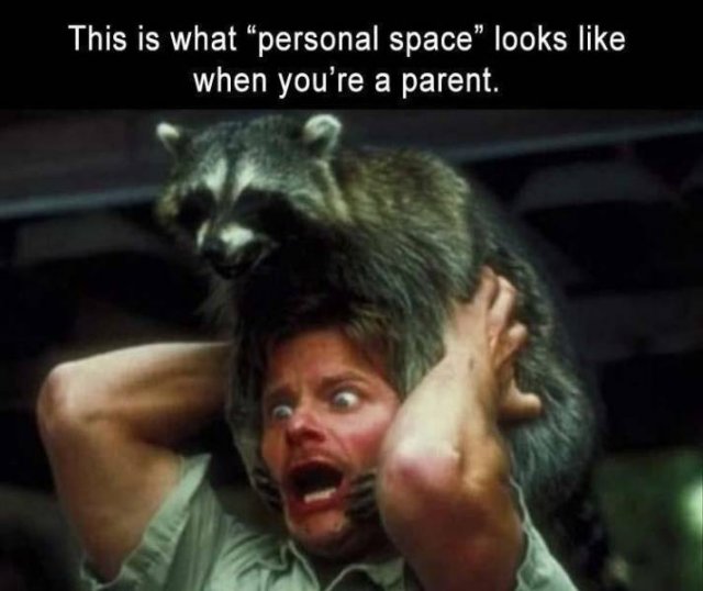 Acid Picdump 2 (48 pics)