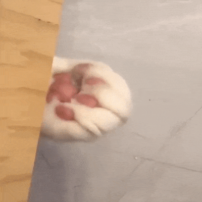 Acid Gifdump, November 9 (25 gifs)