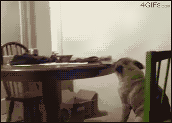 Acid Gifdump, November 9 (25 gifs)
