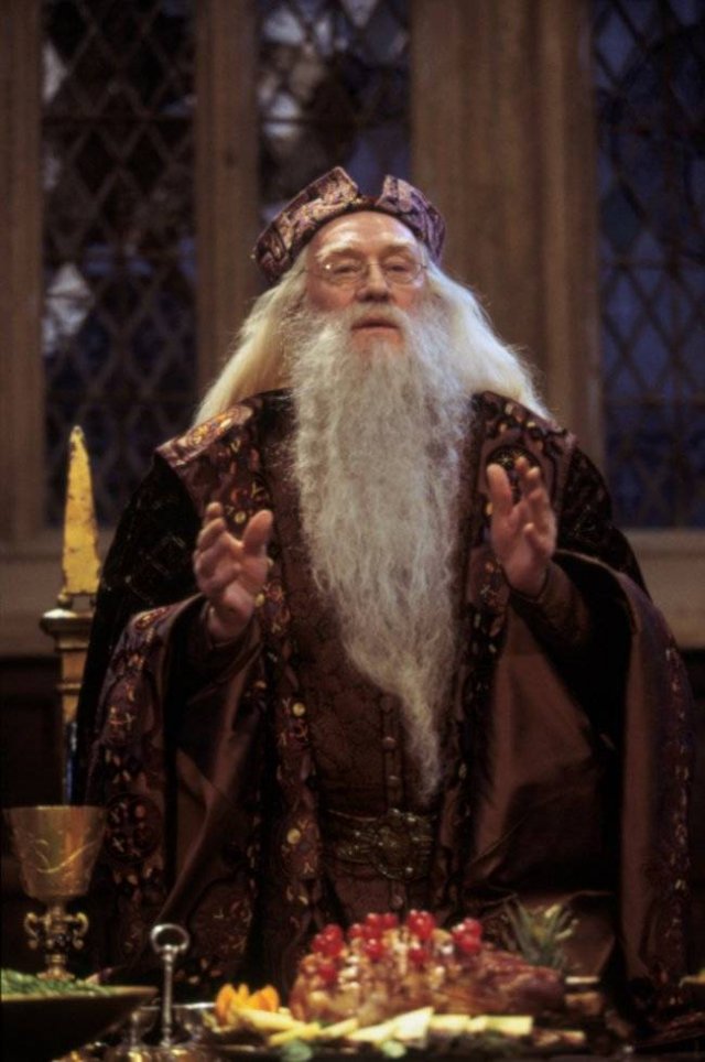 'Harry Potter' Cast: In The Past And Nowadays (20 pics)