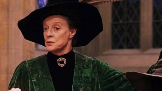 'Harry Potter' Cast: In The Past And Nowadays (20 pics)