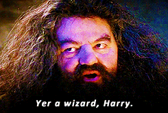 'Harry Potter' Cast: In The Past And Nowadays (20 pics)