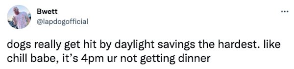 Adjusting The Daylight Tweets (29 pics)