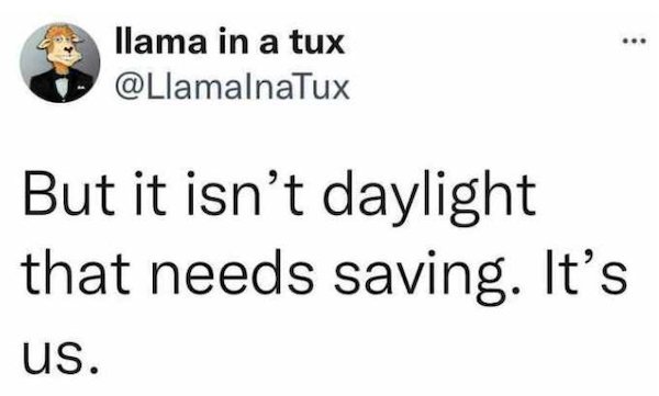 Adjusting The Daylight Tweets (29 pics)