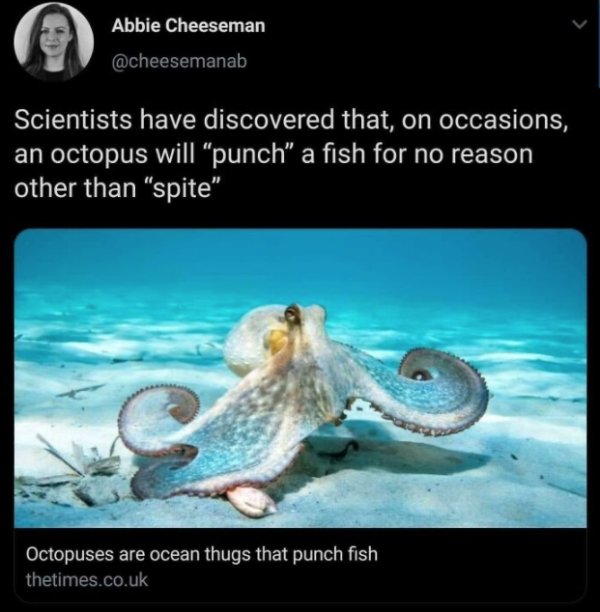When Universe Keeps Trolling You (30 pics)