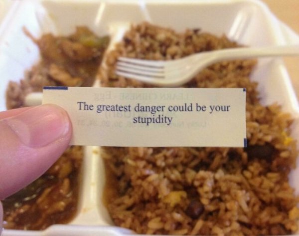 When Universe Keeps Trolling You (30 pics)