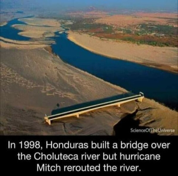 When Universe Keeps Trolling You (30 pics)