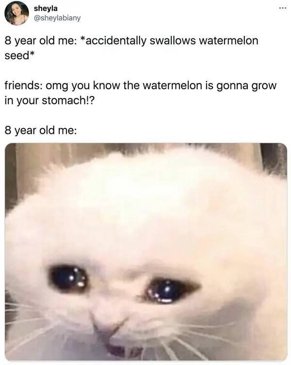 All Children Do These Things (22 pics)
