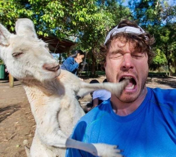 Funny Animals (65 pics)