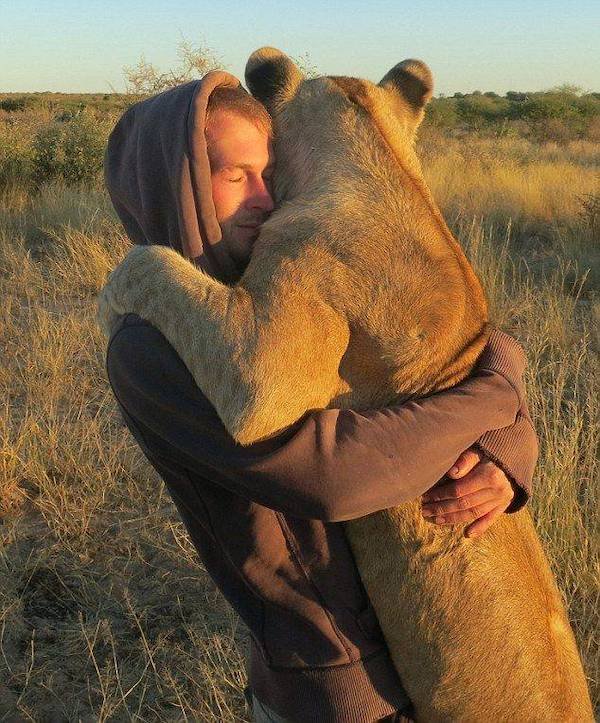 Funny Animals (65 pics)