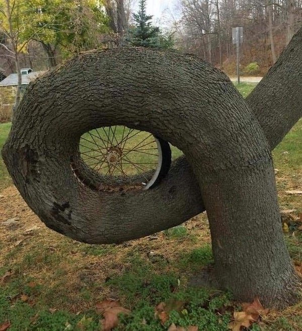 Nature Power (25 pics)