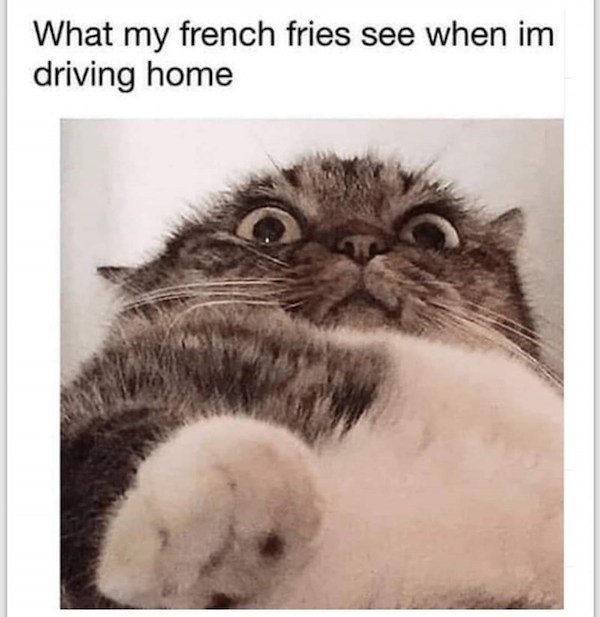 Food Memes And Pictures (79 pics)