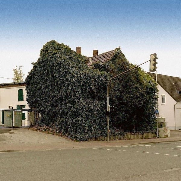 Nature Power (25 pics)