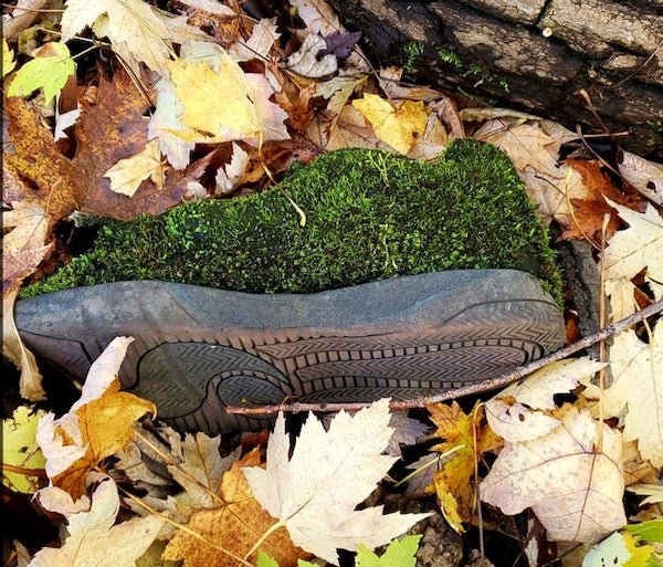 Nature Power (25 pics)