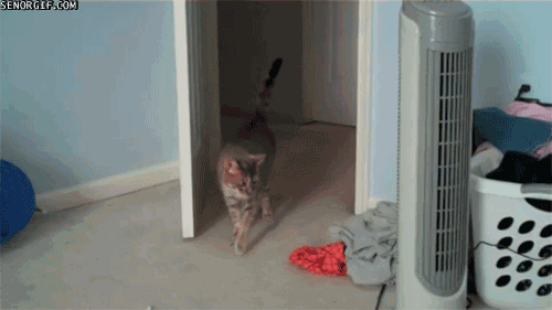Acid Gifdump, November 11 (25 gifs)