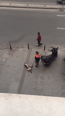 Acid Gifdump, November 11 (25 gifs)