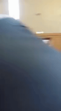Acid Gifdump, November 11 (25 gifs)