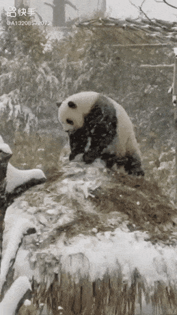 Acid Gifdump, November 11 (25 gifs)