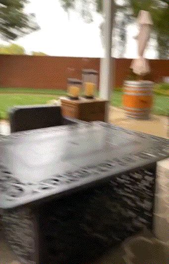 Acid Gifdump, November 11 (25 gifs)