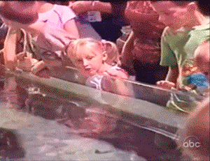 Acid Gifdump, November 12 (25 gifs)