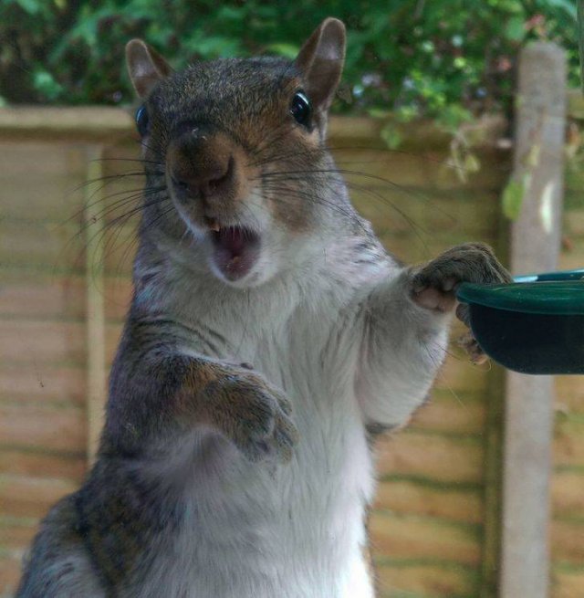 Right Moment (46 pics)