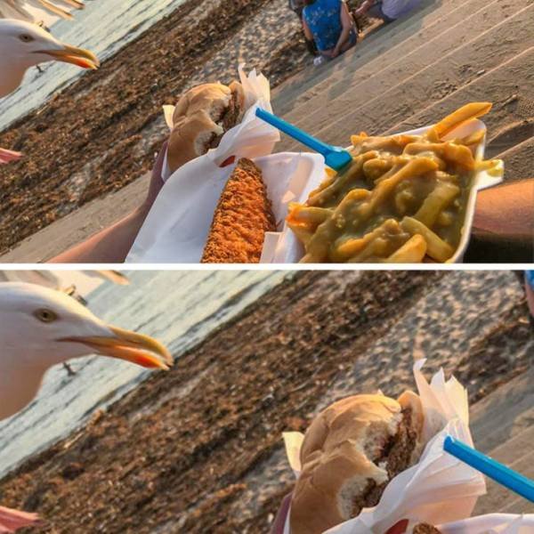 Right Moment (46 pics)