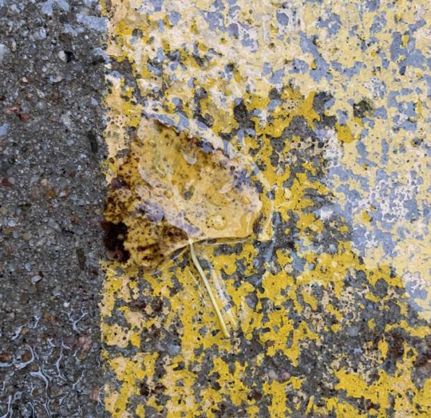 Unusual Coincidences (37 pics)