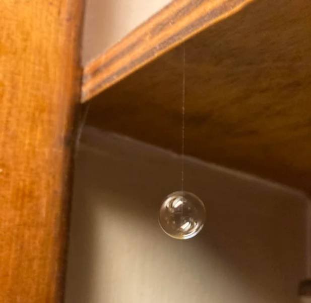 Unusual Coincidences (37 pics) Unusual Coincidences (37 pics)